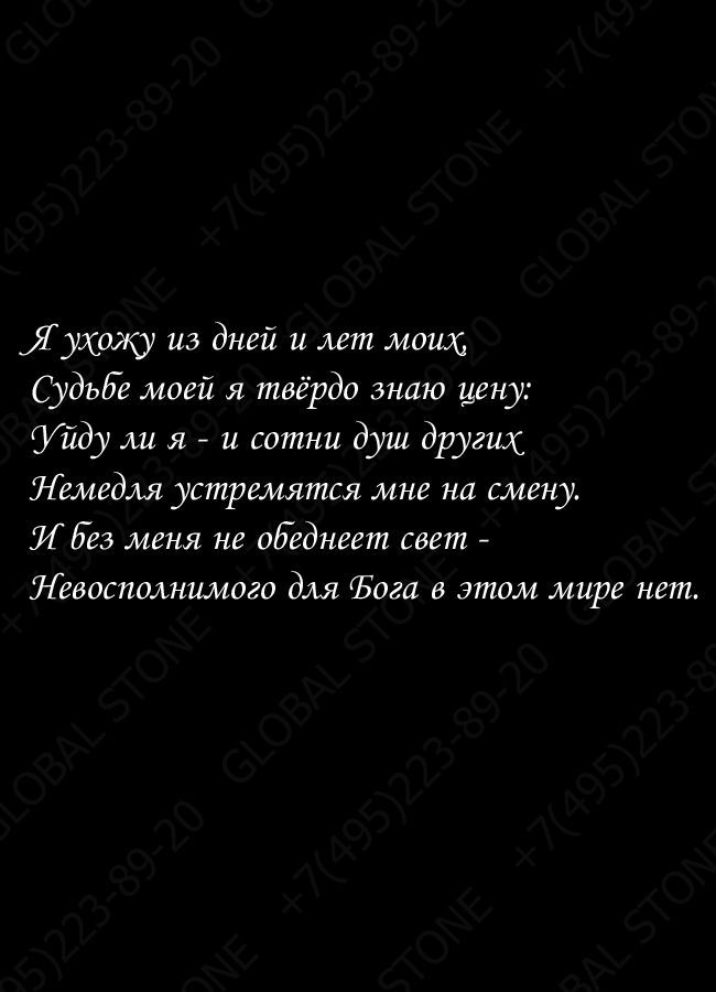 ИЭ113
