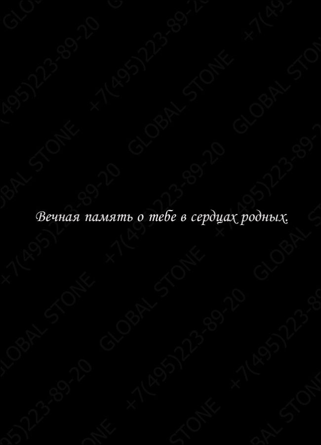 ИЭ027